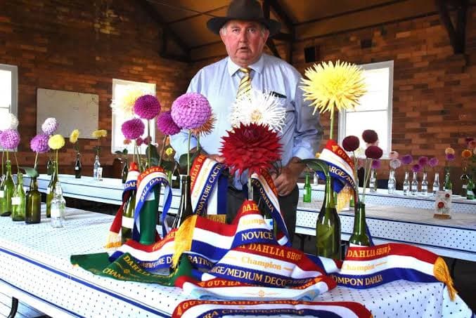 Highland Dahlias farm – Southern Highlands NSW