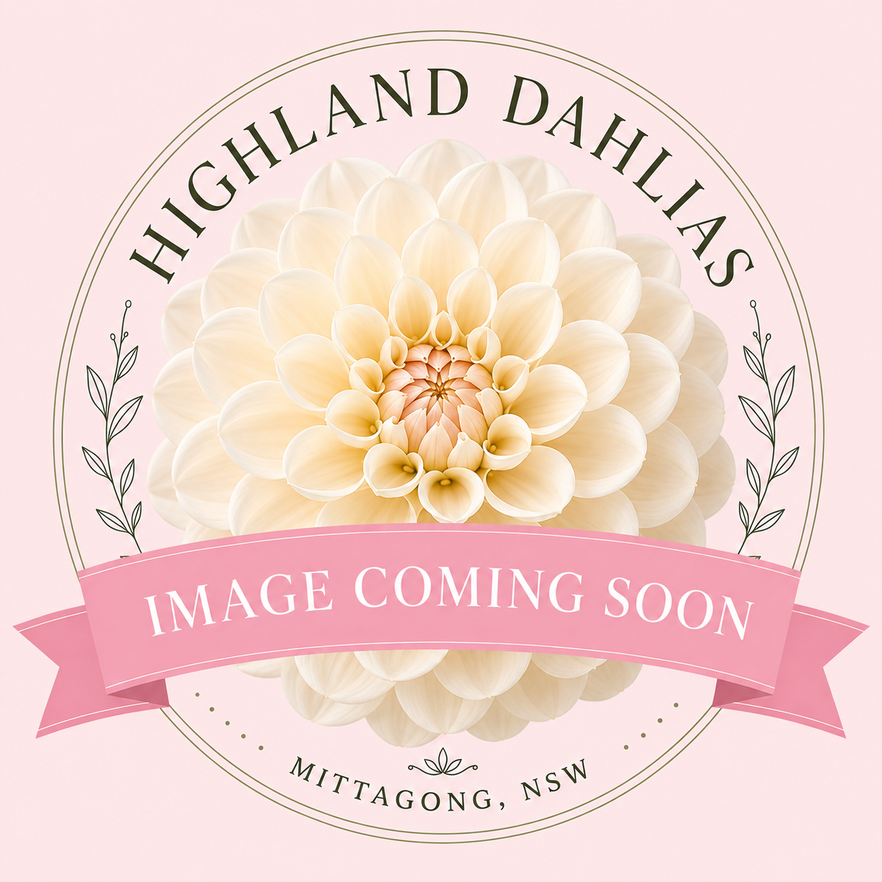 Christie Topknot - Dahlia - Anemone